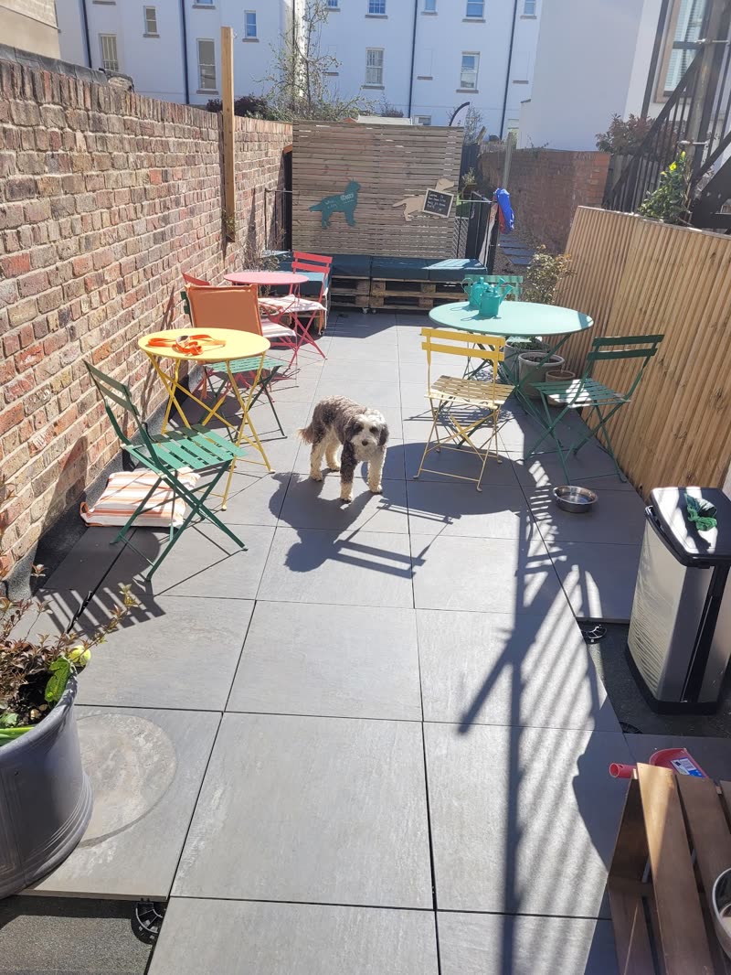 The walled courtyard with bistro tables, planters and a small dog wandering between them